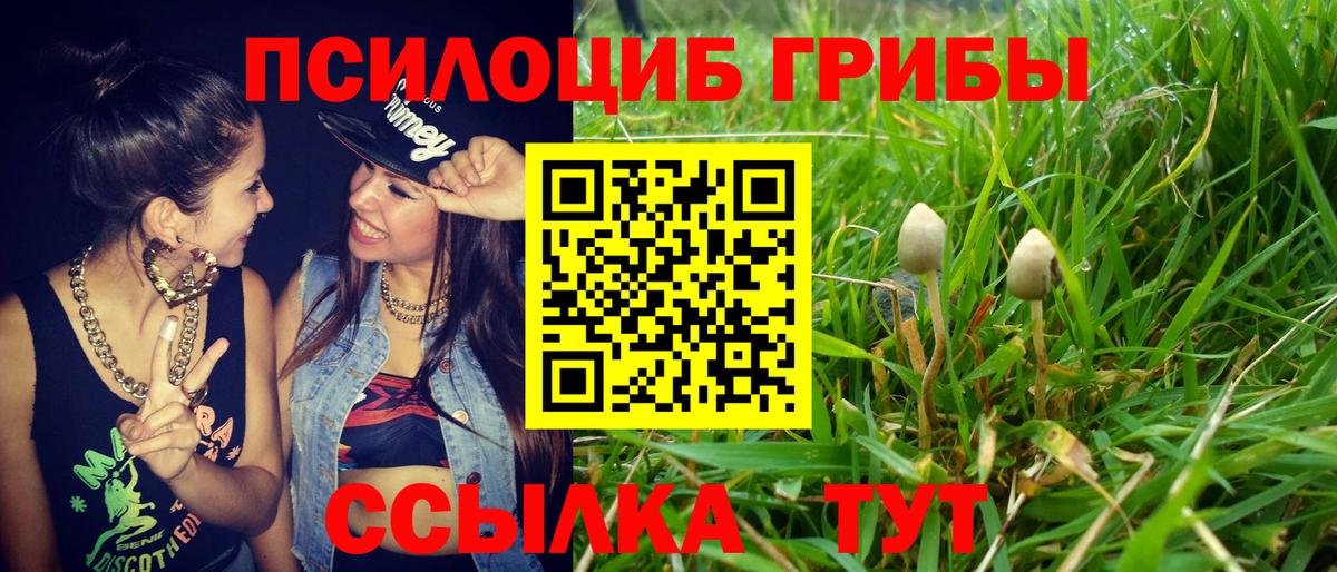 сколько стоит  Вход с VPN  Орехово-Зуево  Псилоцибиновые грибы Magic Shrooms 